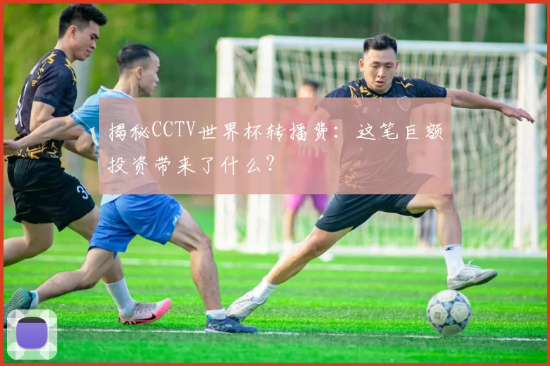 揭秘CCTV世界杯转播费：这笔巨额投资带来了什么？