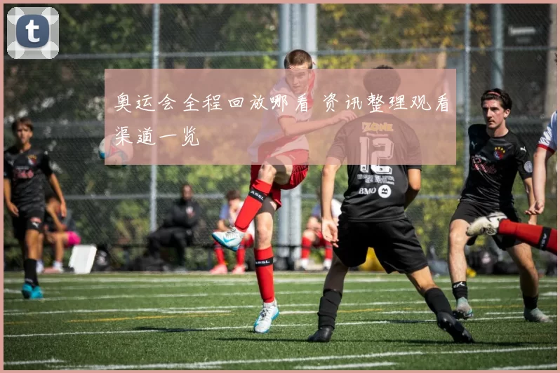 奥运会全程回放哪看 资讯整理观看渠道一览