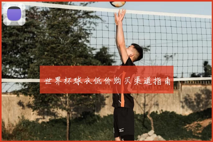 世界杯球衣低价购买渠道指南