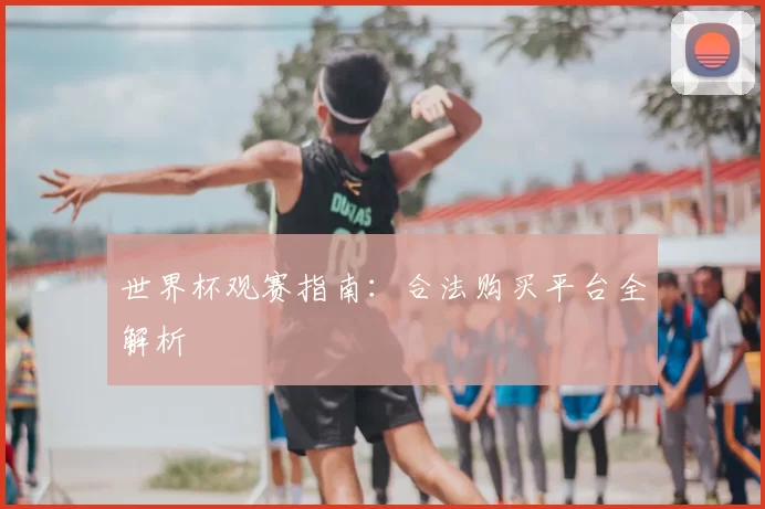 世界杯观赛指南:合法购买平台全解析