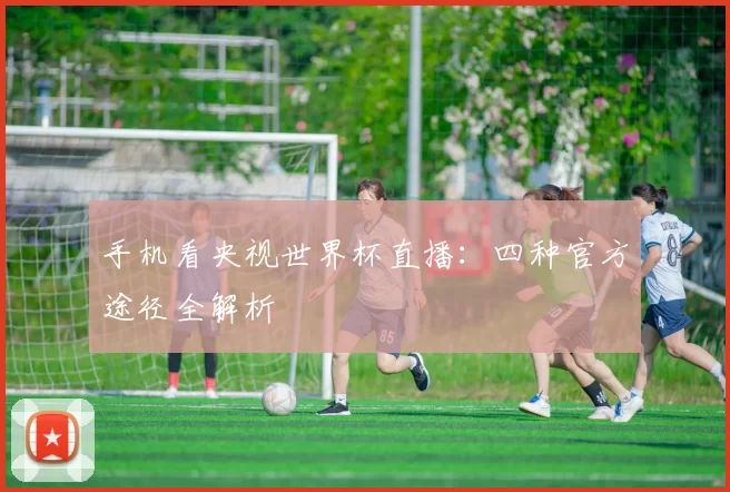 手机看央视世界杯直播：四种官方途径全解析