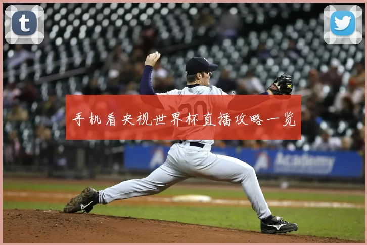 手机看央视世界杯直播攻略一览