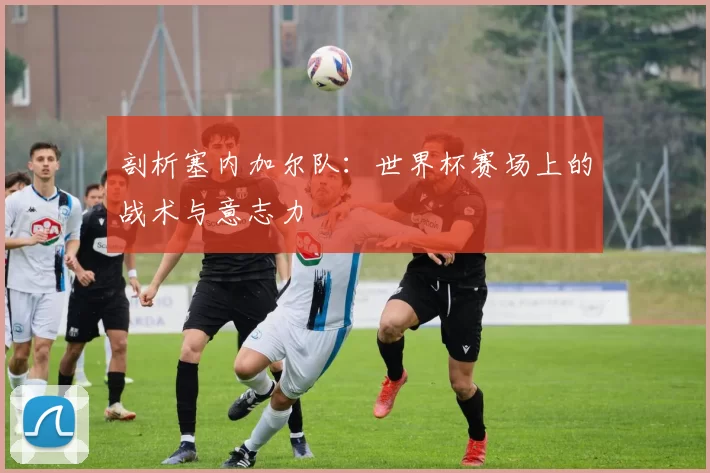 剖析塞内加尔队：世界杯赛场上的战术与意志力