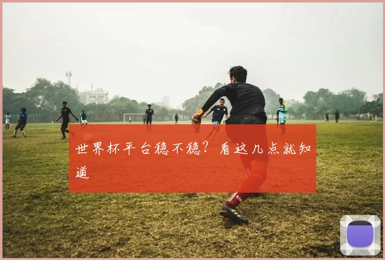 世界杯平台稳不稳？看这几点就知道