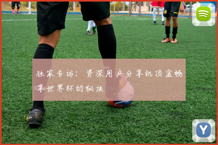 独家专访：资深用户分享机顶盒畅享世界杯的秘诀