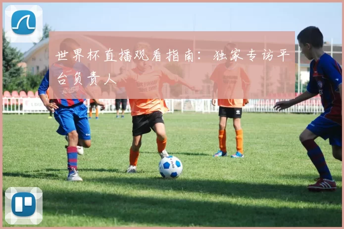 世界杯直播观看指南：独家专访平台负责人