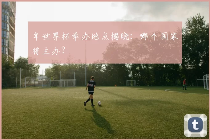年世界杯举办地点揭晓：哪个国家将主办？