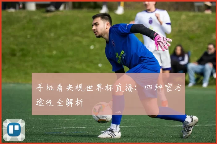 手机看央视世界杯直播：四种官方途径全解析