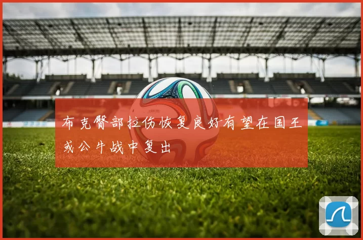 布克臀部拉伤恢复良好有望在国王或公牛战中复出