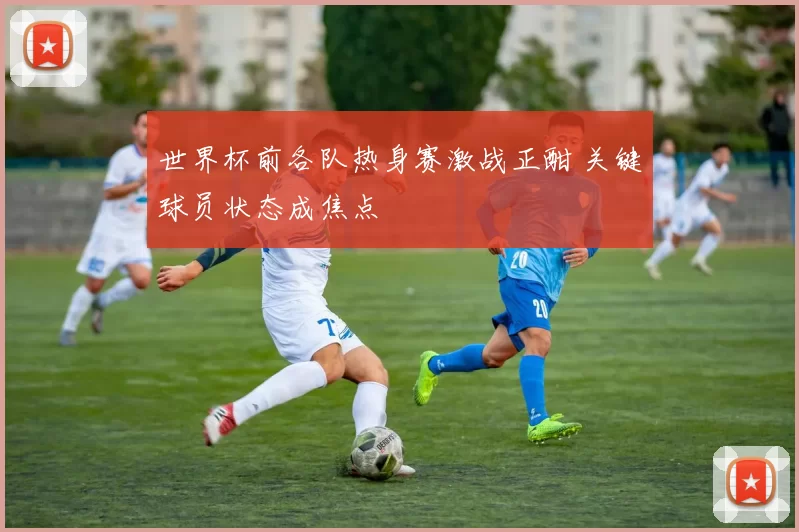 世界杯前各队热身赛激战正酣 关键球员状态成焦点