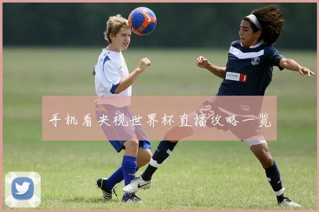 手机看央视世界杯直播攻略一览