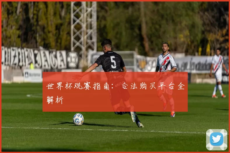 世界杯观赛指南：合法购买平台全解析