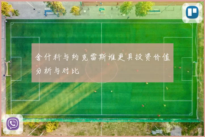 舍什科与约克雷斯谁更具投资价值分析与对比