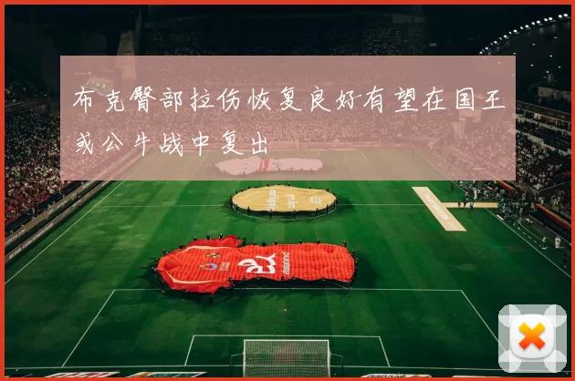 布克臀部拉伤恢复良好有望在国王或公牛战中复出