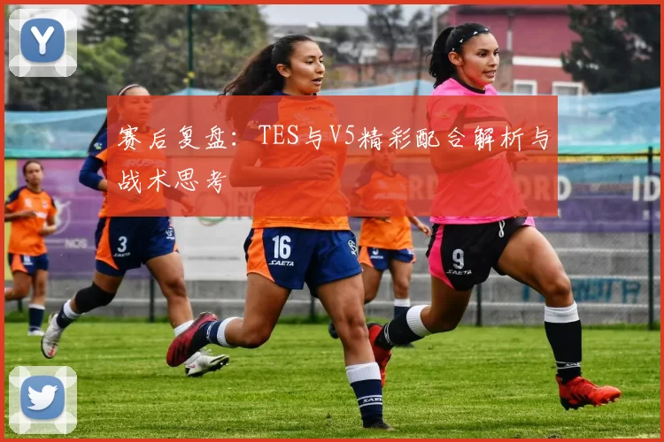 赛后复盘：TES与V5精彩配合解析与战术思考